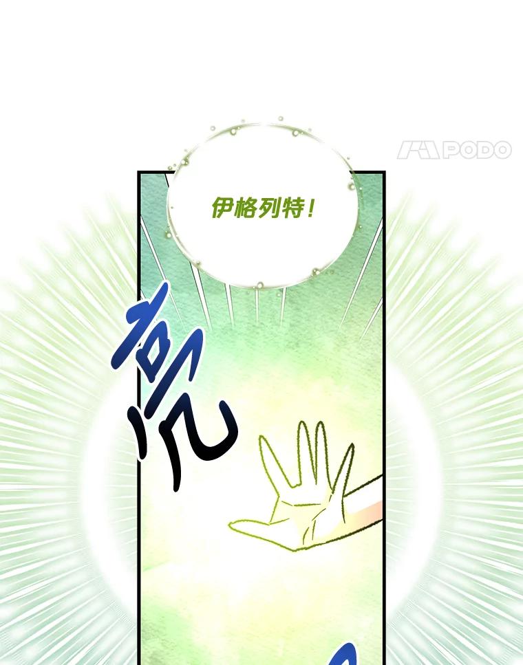 《伊格列特》51.精灵实践 第67页