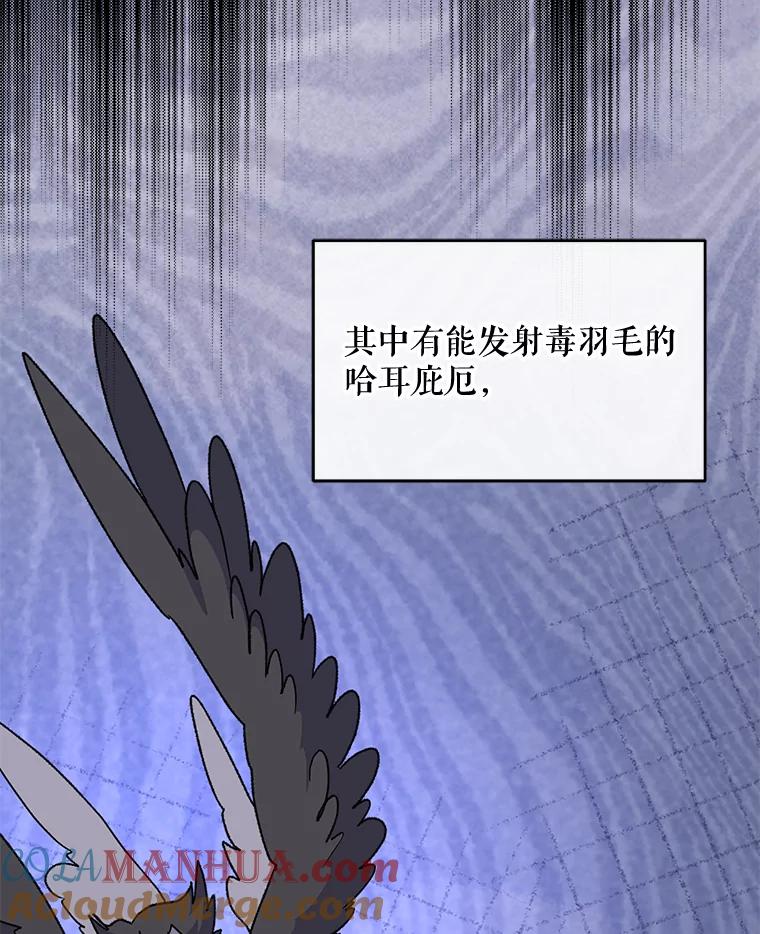 《伊格列特》51.精灵实践 第89页