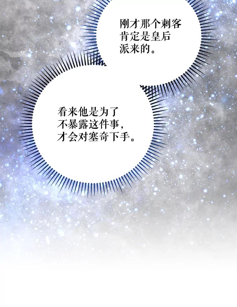 《伊格列特》62.再遭刺杀 第75页