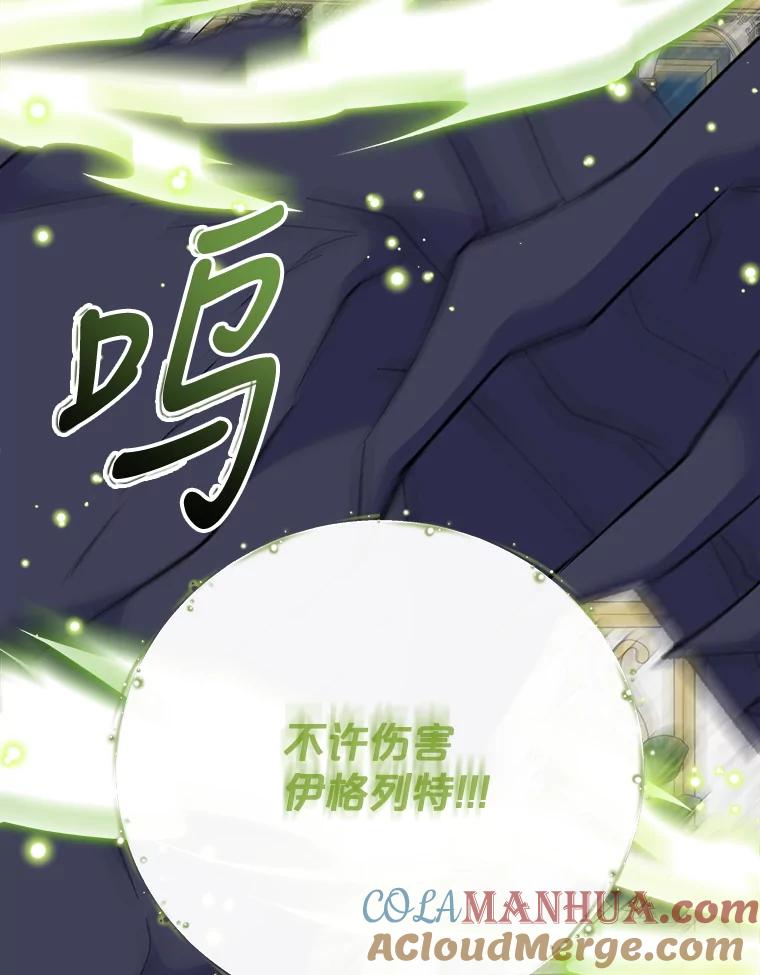 《伊格列特》71.尘埃落定 第41页