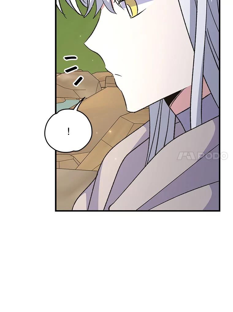 《伊格列特》74.巡游之路 第82页