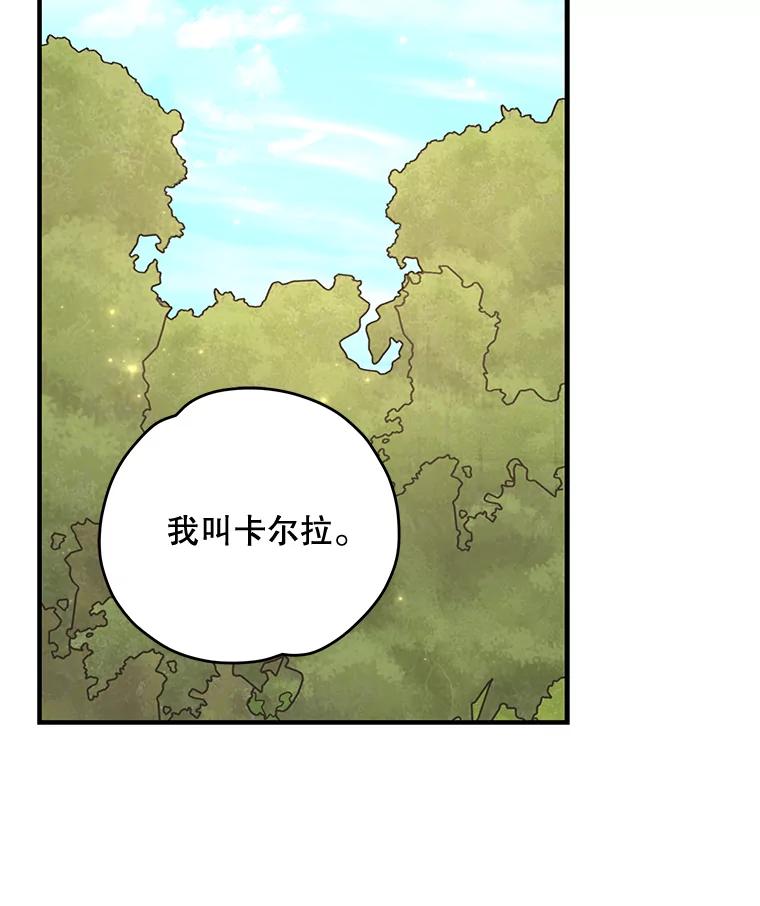 《伊格列特》79.精灵格布 第48页