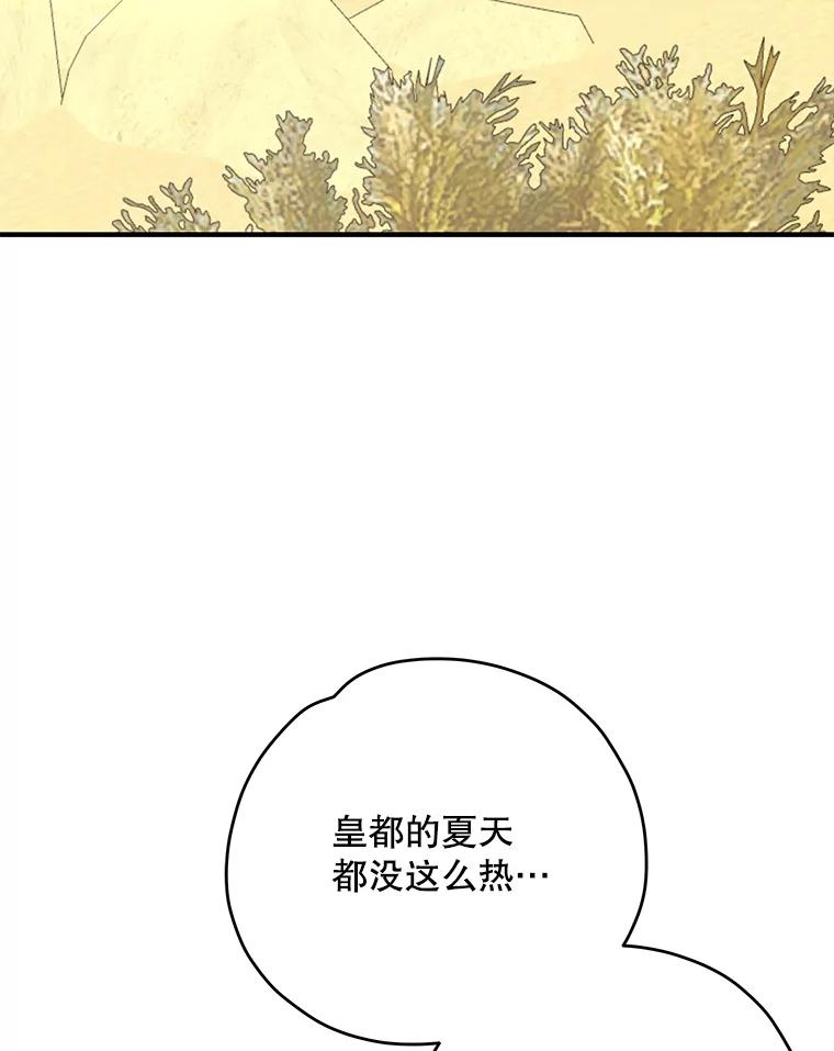 《伊格列特》87.沙漠的异样 第99页