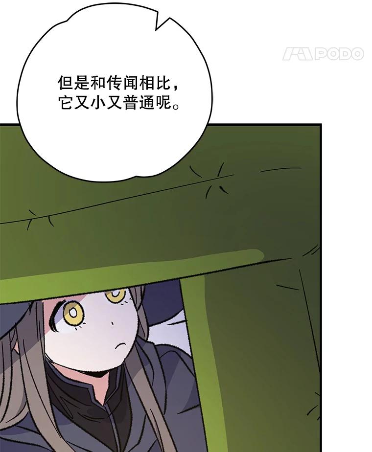 《伊格列特》91.寻找千年仙人掌 第90页