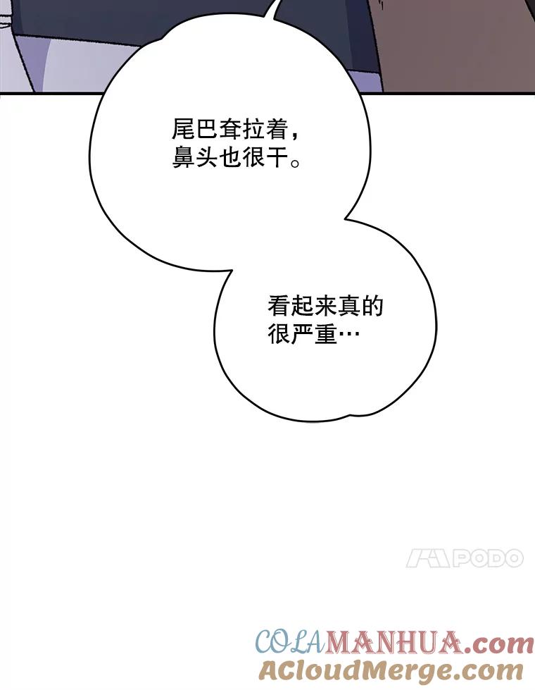《伊格列特》91.寻找千年仙人掌 第49页
