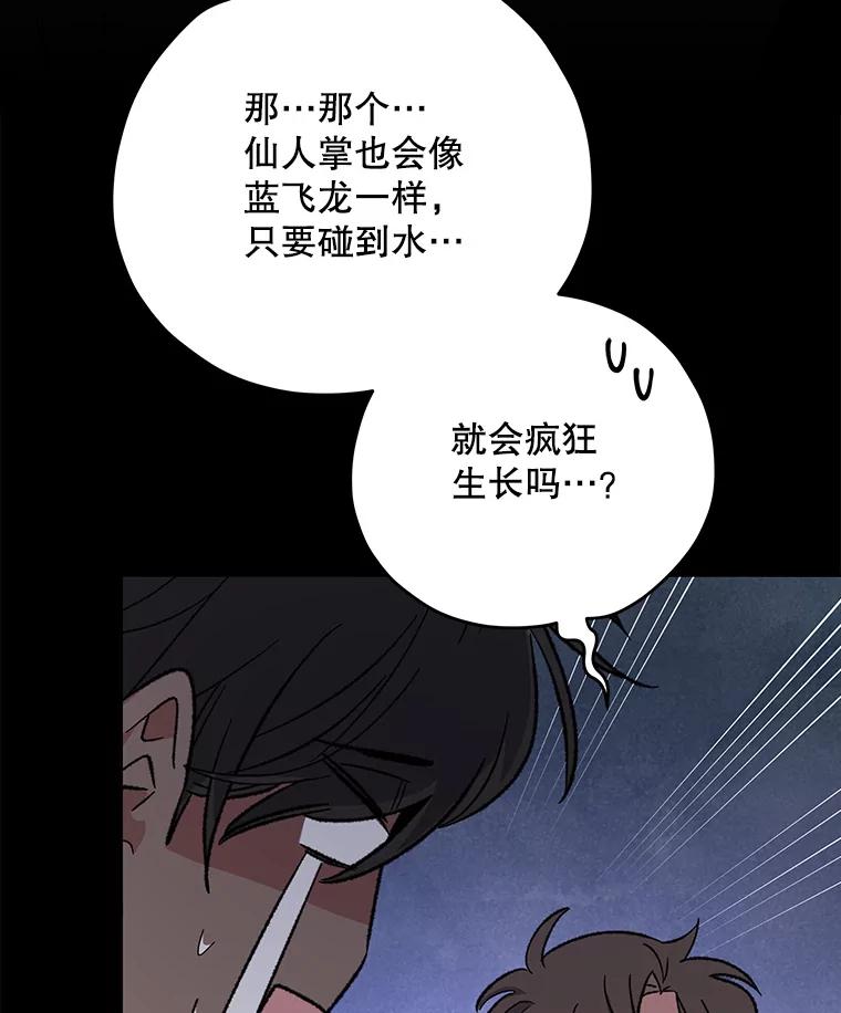 《伊格列特》91.寻找千年仙人掌 第102页