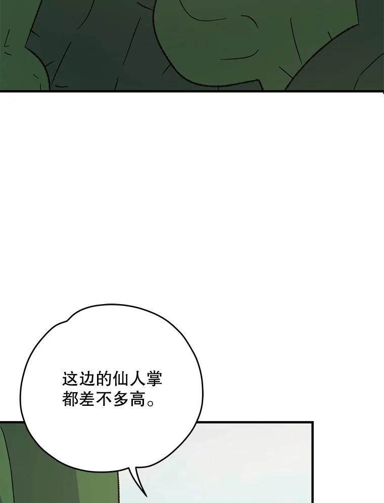 《伊格列特》91.寻找千年仙人掌 第78页