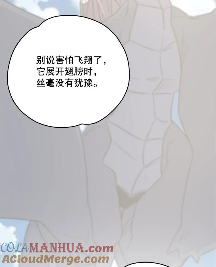 《伊格列特》92.治愈飞蓝龙 第121页
