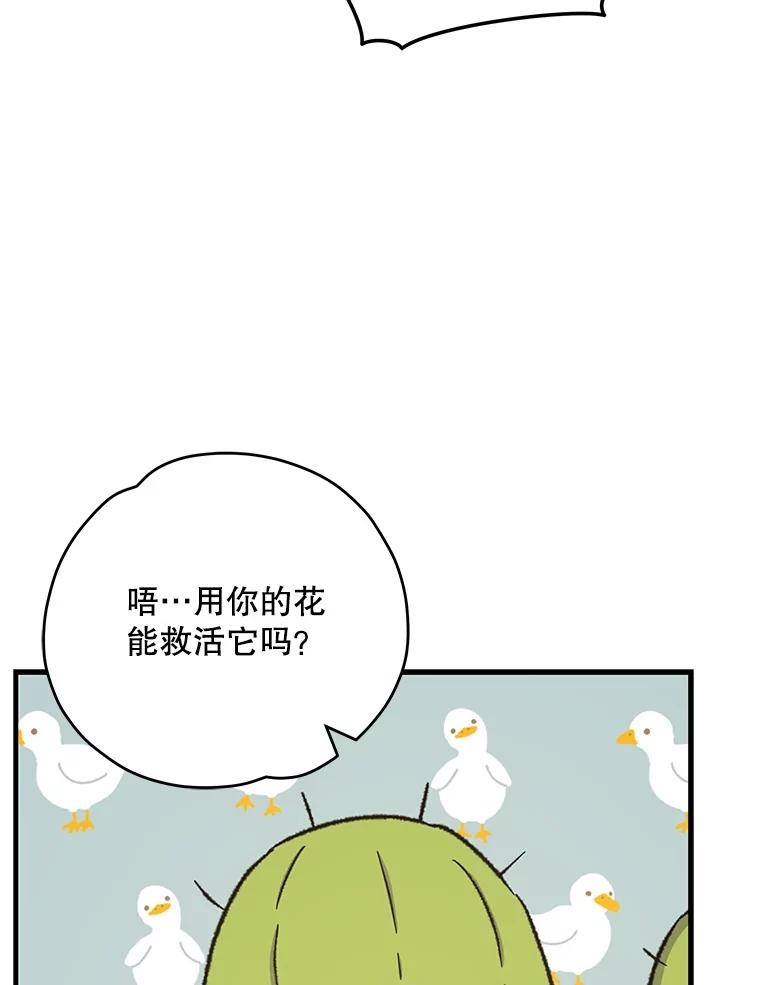 《伊格列特》92.治愈飞蓝龙 第31页