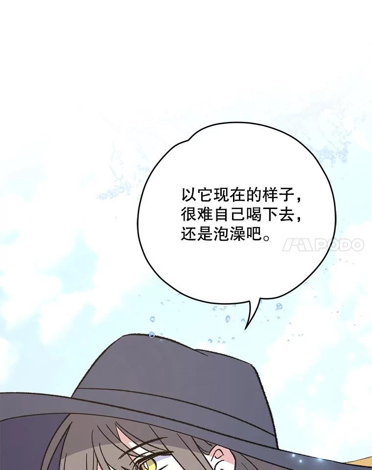 《伊格列特》92.治愈飞蓝龙 第110页