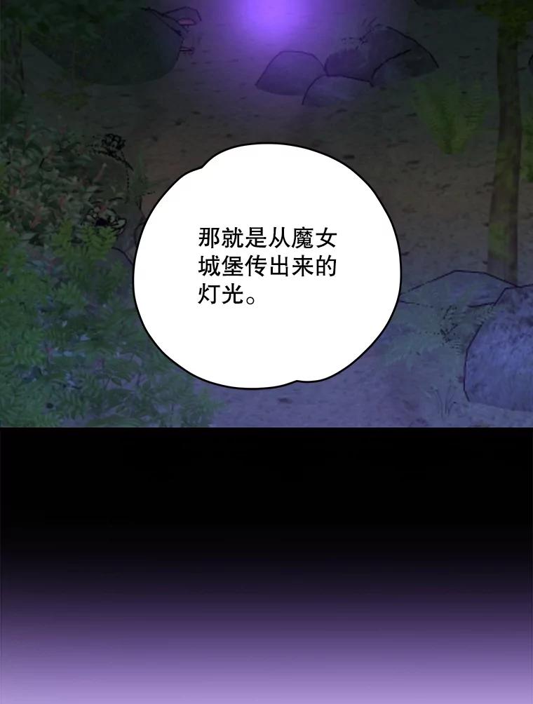 《伊格列特》93.夜之魔女传闻 第78页