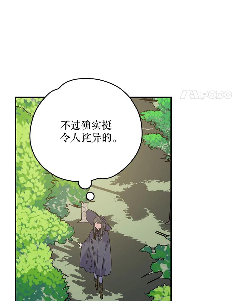《伊格列特》94.寻找魔女 第26页