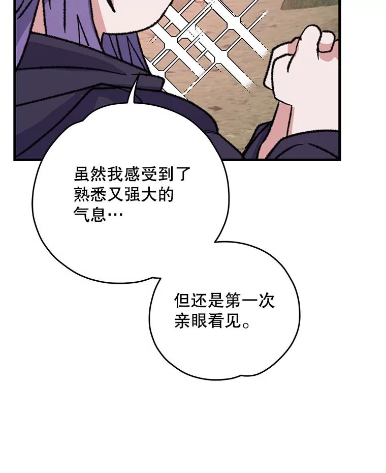 《伊格列特》94.寻找魔女 第98页