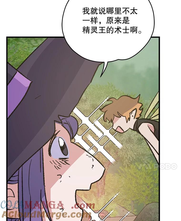 《伊格列特》94.寻找魔女 第97页
