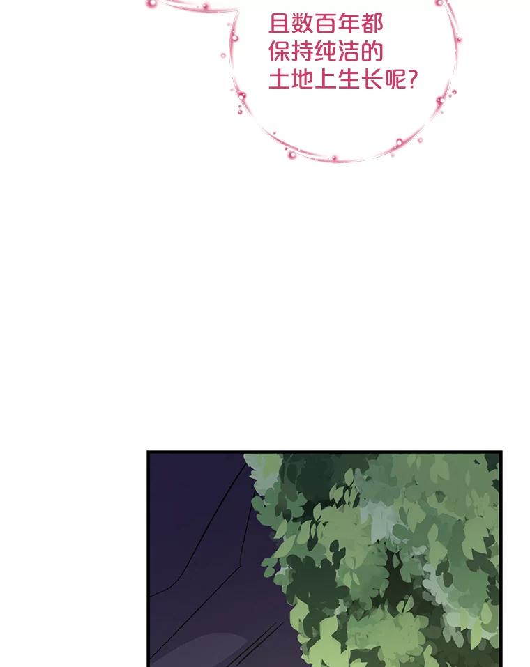 《伊格列特》94.寻找魔女 第42页