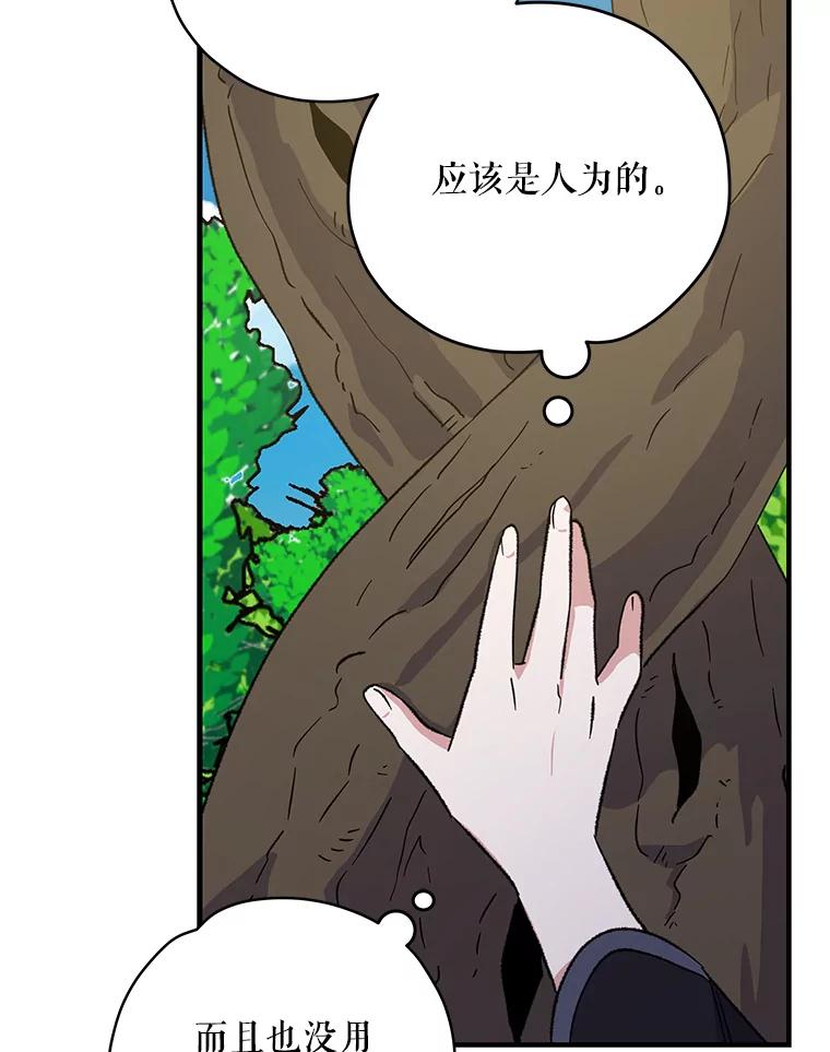 《伊格列特》94.寻找魔女 第28页
