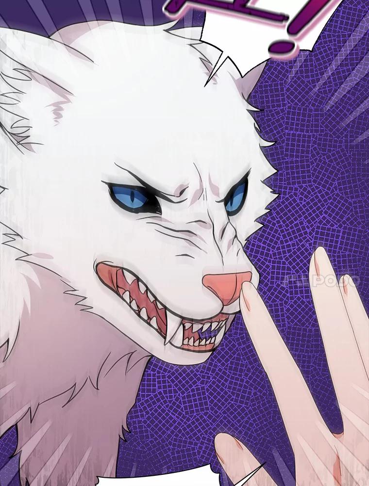 《狼犬男主的驯养师》25.怎么会这样 第68页