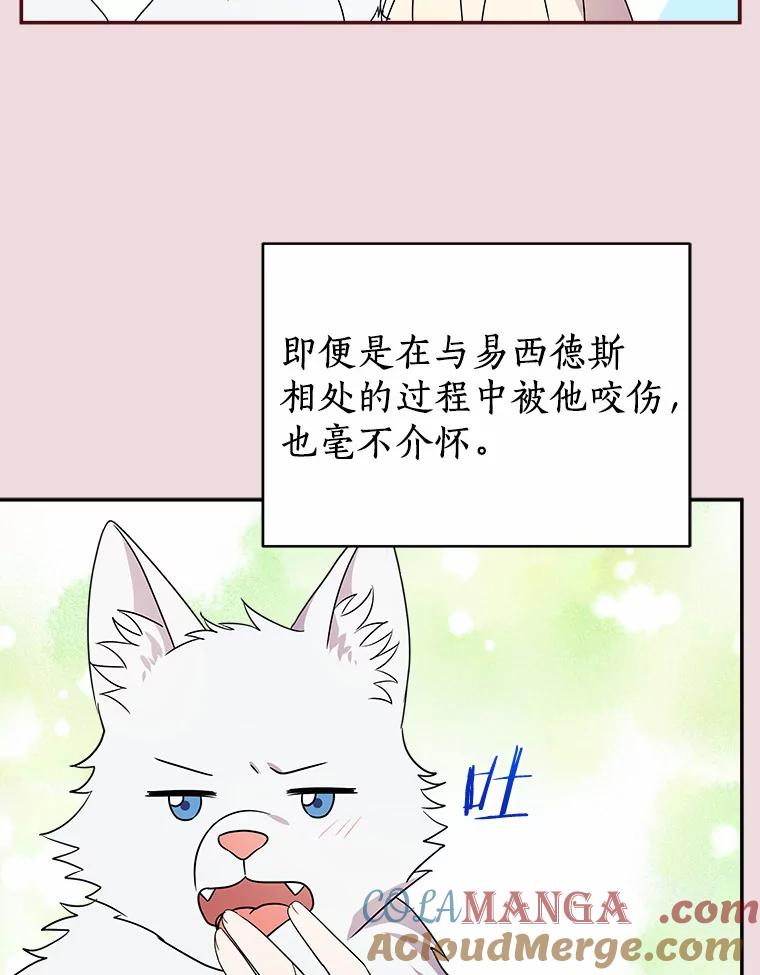 《狼犬男主的驯养师》25.怎么会这样 第40页