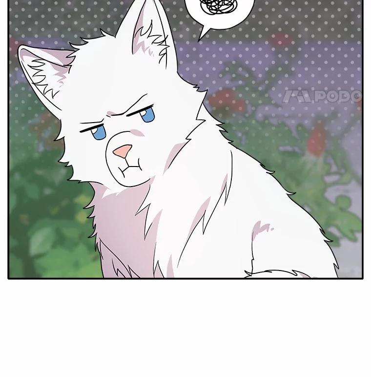 《狼犬男主的驯养师》25.怎么会这样 第12页