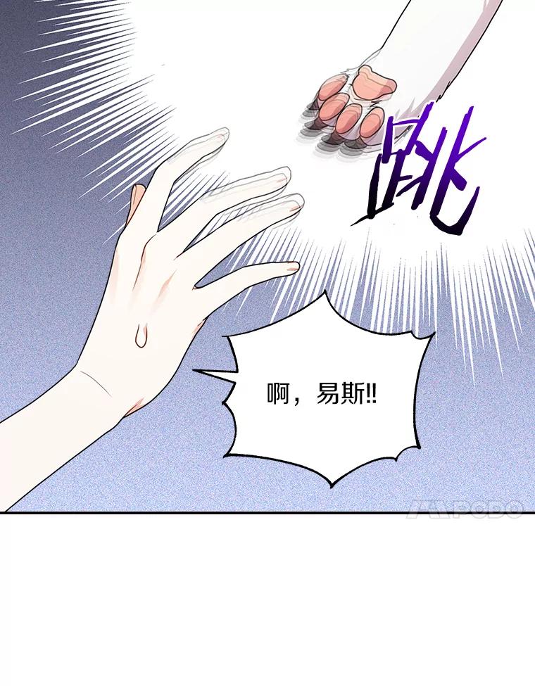 《狼犬男主的驯养师》26.他们回来了 第71页