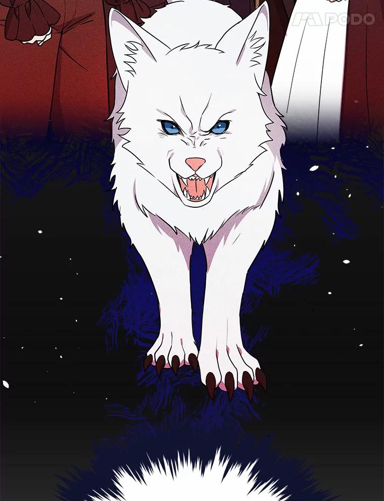 《狼犬男主的驯养师》32.获得认可 第21页