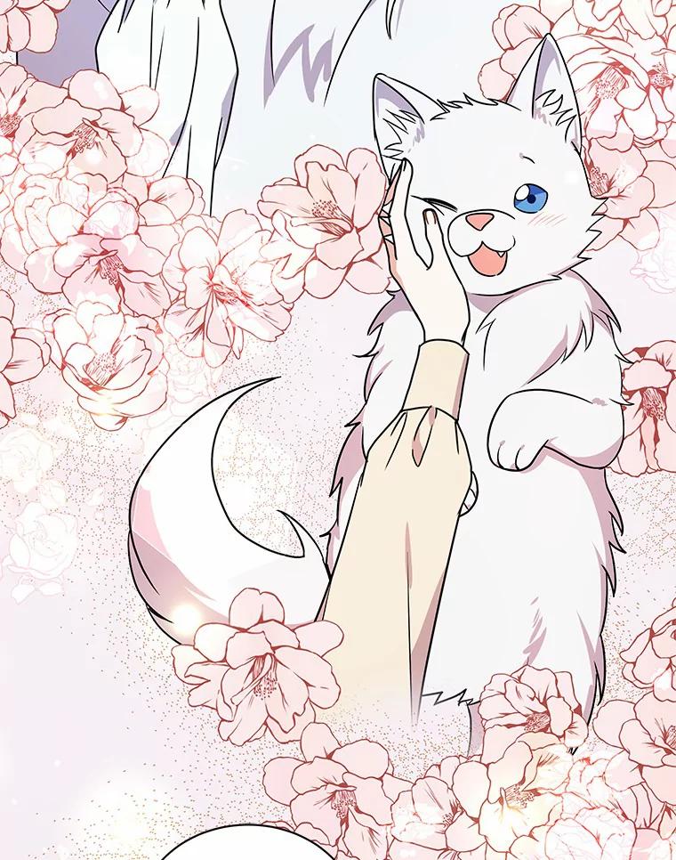 《狼犬男主的驯养师》36.彻查 第26页