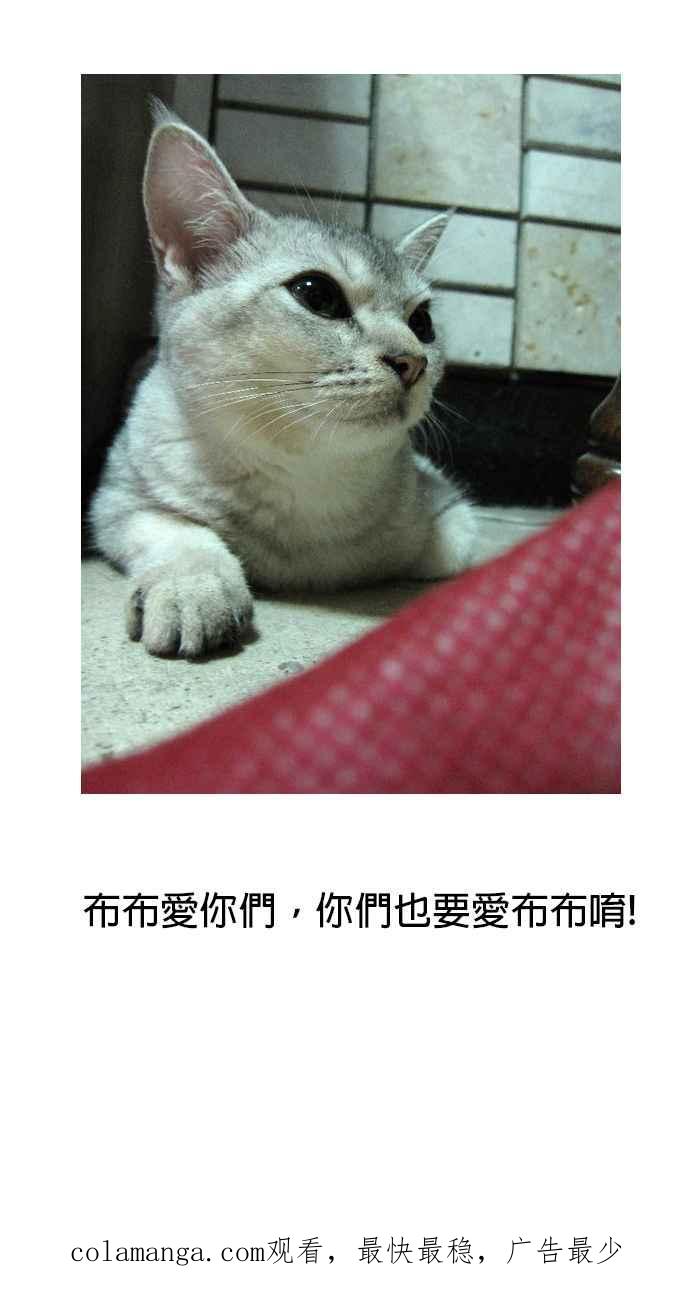 猫剑客 [第58话] 折翼天使 序章 第24页