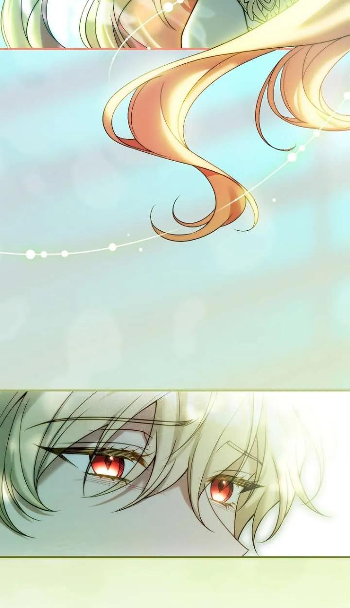 已关闭痛觉设置 - 第28话 - 第66张图