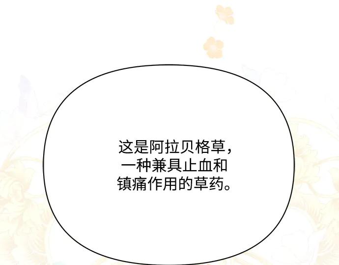 《黑暗皇女：雅什泰洛迪》第31话 第228页