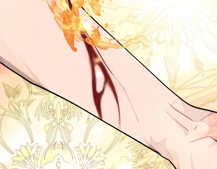 《黑暗皇女：雅什泰洛迪》第31话 第215页