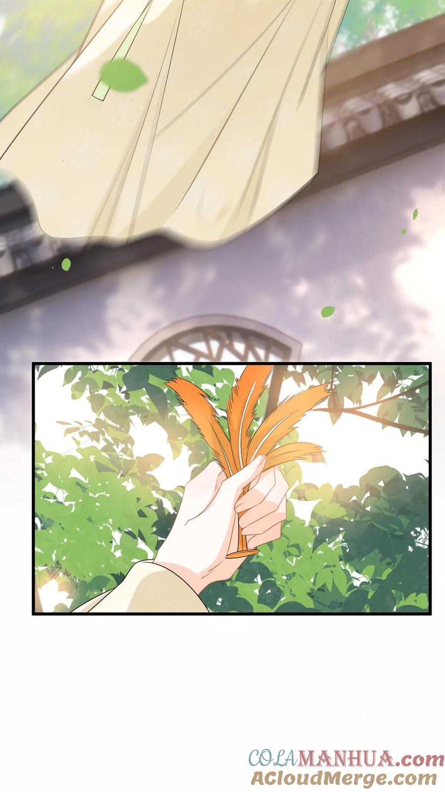 快穿：反派太宠太撩人 第71话 白猫突袭，二妃险落水！ 第7页