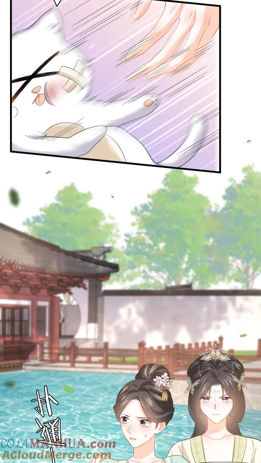 快穿：反派太宠太撩人 第72话 严查白猫来历！ 第5页