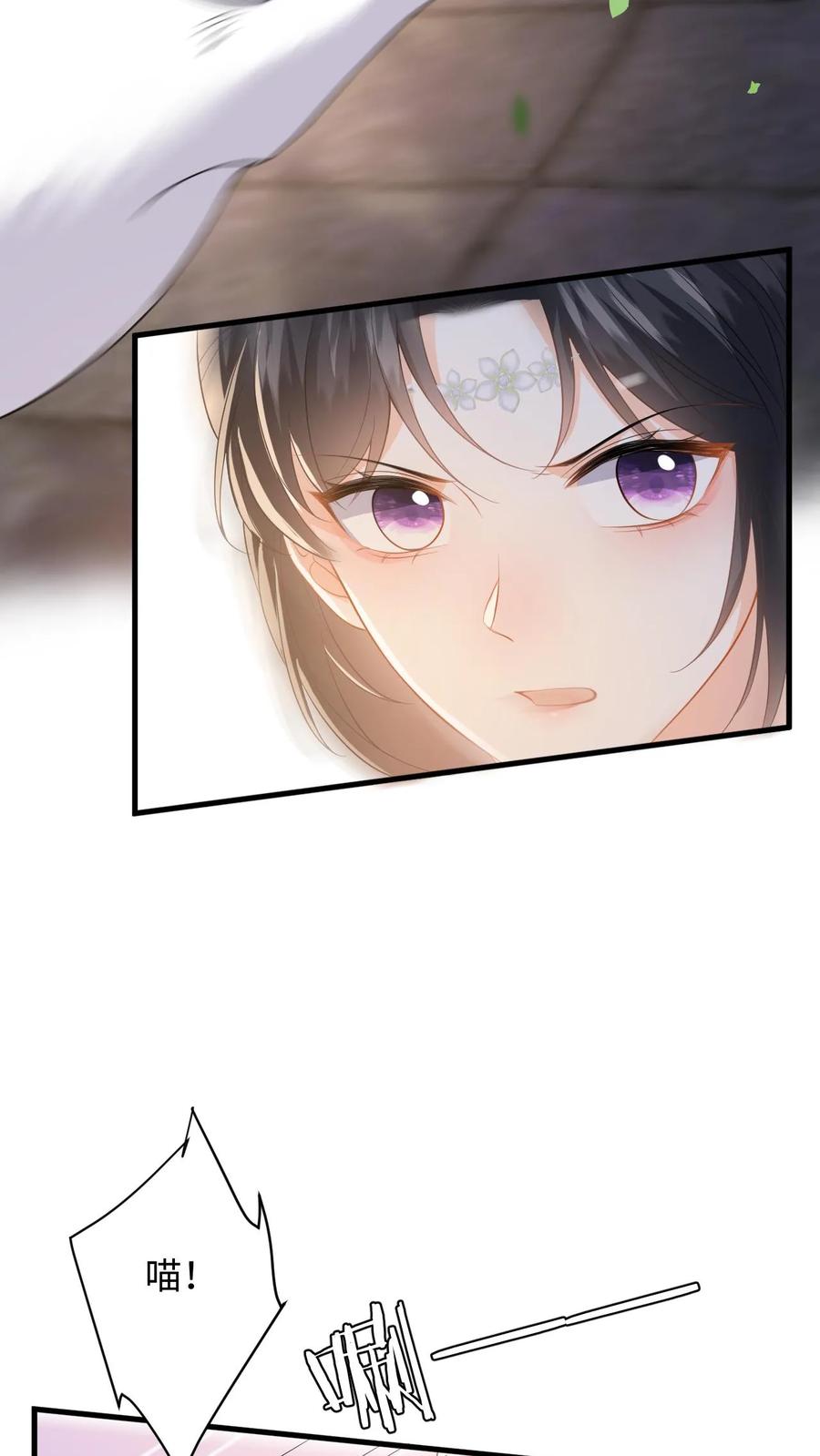 快穿：反派太宠太撩人 第72话 严查白猫来历！ 第4页