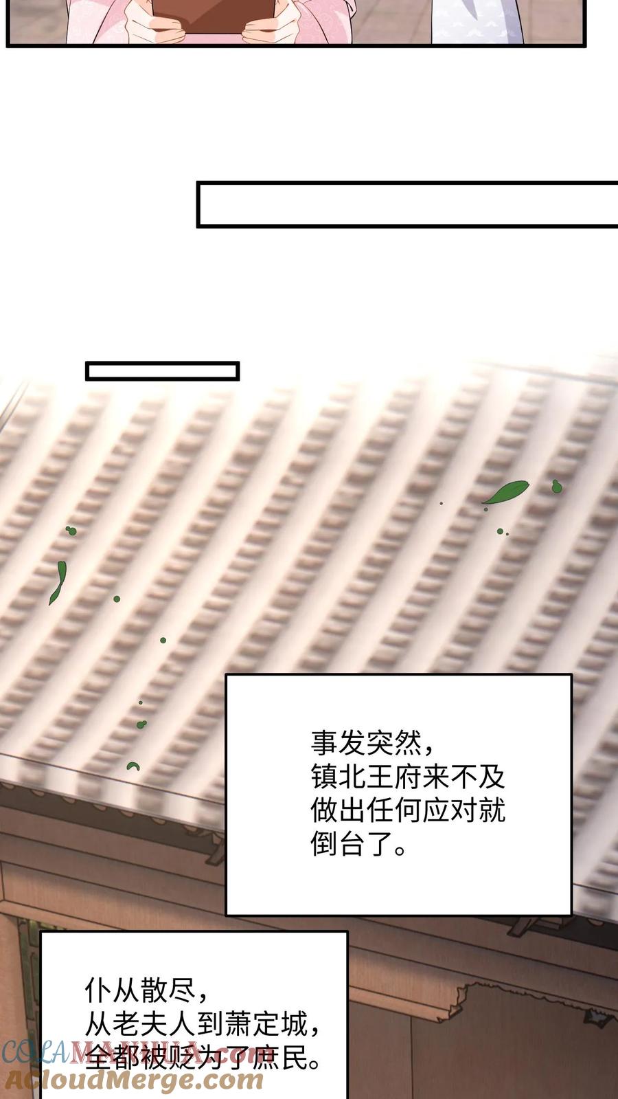 快穿：反派太宠太撩人 第95话 镇北王府倒台 第21页