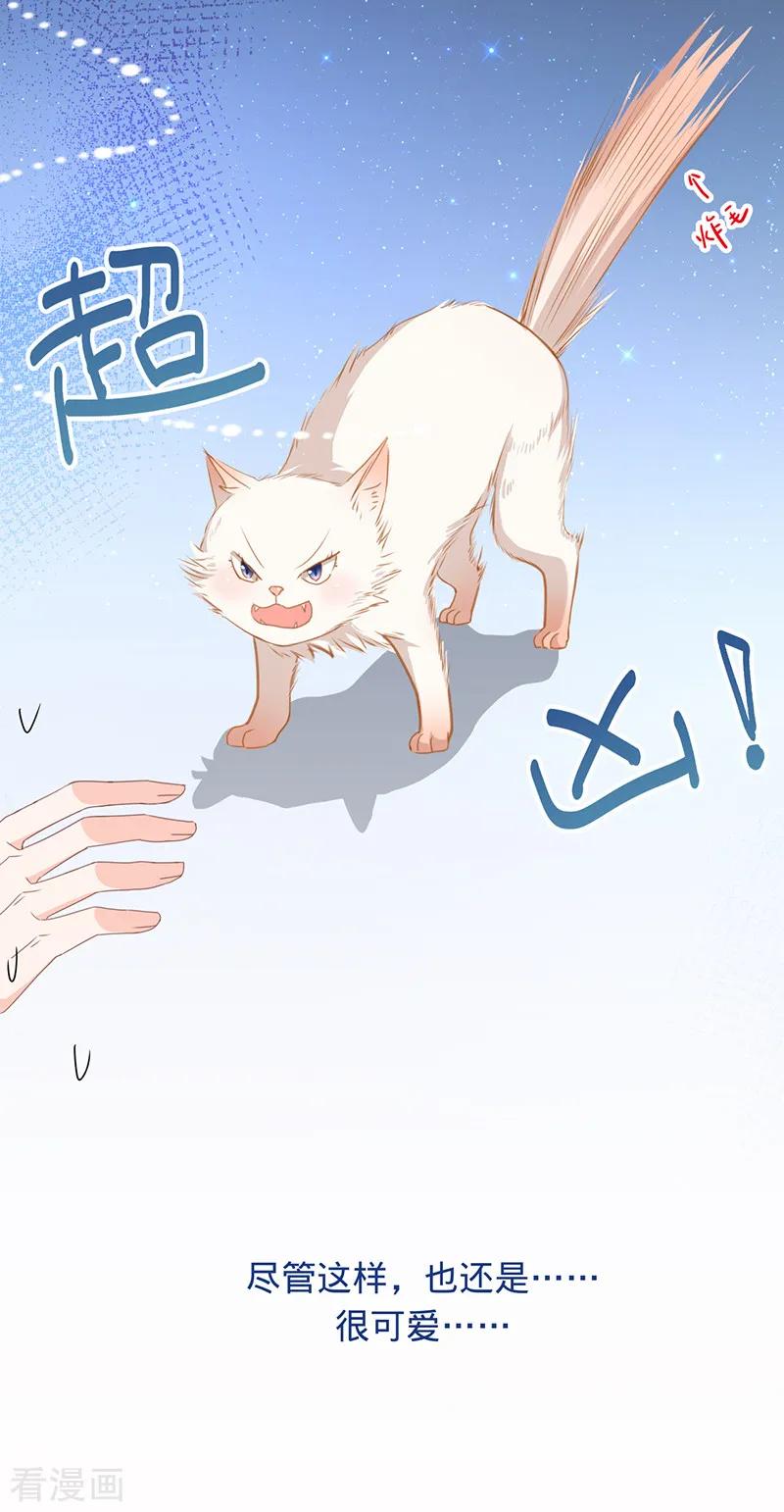 《以婚之名》第9话 令人心疼的小猫咪 第26页