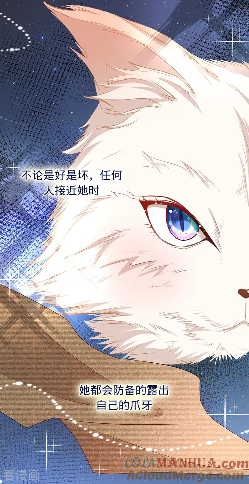 《以婚之名》第9话 令人心疼的小猫咪 第25页