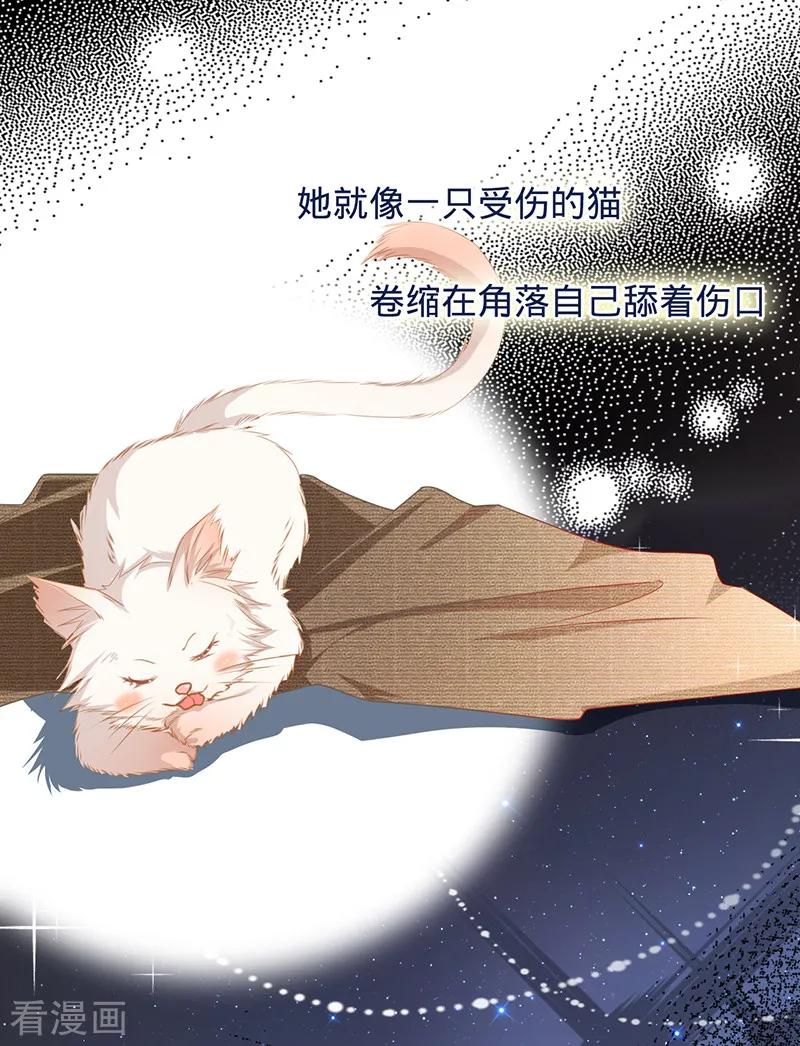 《以婚之名》第9话 令人心疼的小猫咪 第24页