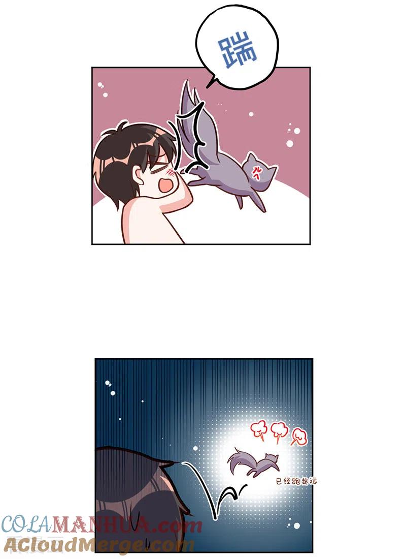 《以婚之名》第21话 小猫咪上钩了 第3页