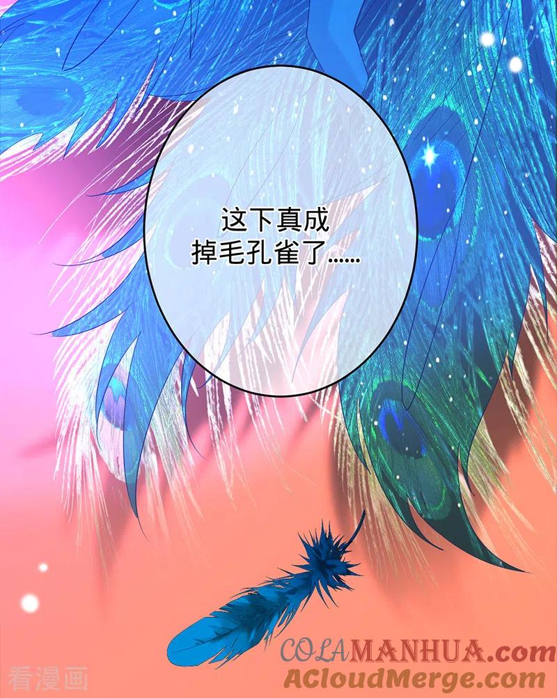 《以婚之名》第51话 苍鹰归来 第3页