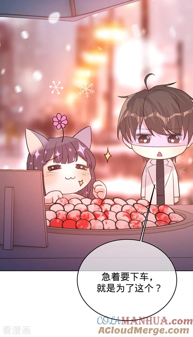 《以婚之名》第74话 雪球和你都很甜 第3页