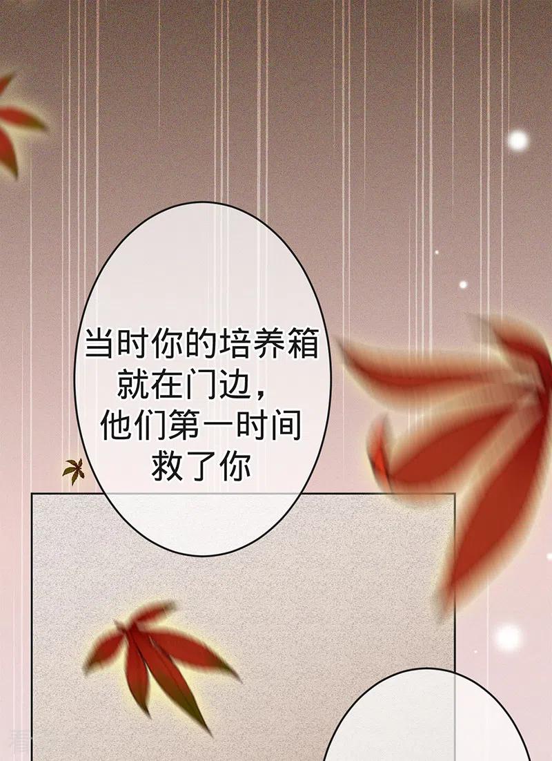 《以婚之名》第96话 不存在的兄弟 第36页