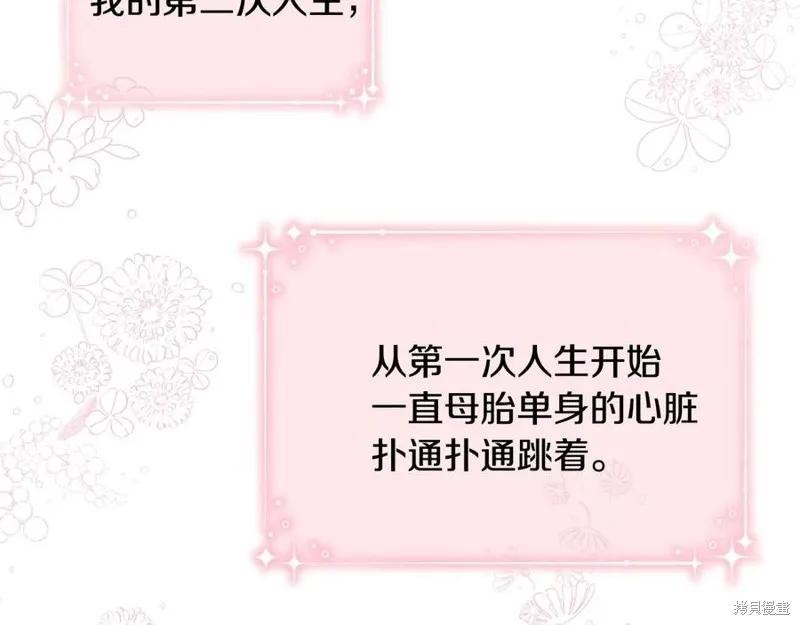 《明明是冷美人小姐却变成了忠犬大少爷》第75话 第212页