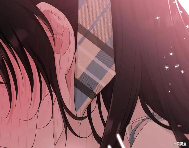 《明明是冷美人小姐却变成了忠犬大少爷》第75话 第210页