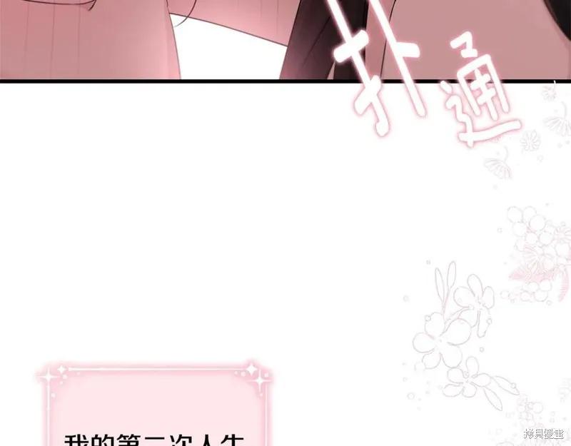 《明明是冷美人小姐却变成了忠犬大少爷》第75话 第211页