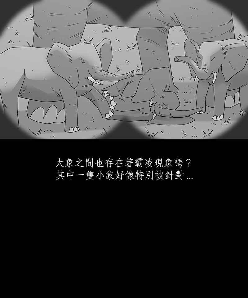 黑盒子 [第198话] 摄象者(1) 第40页