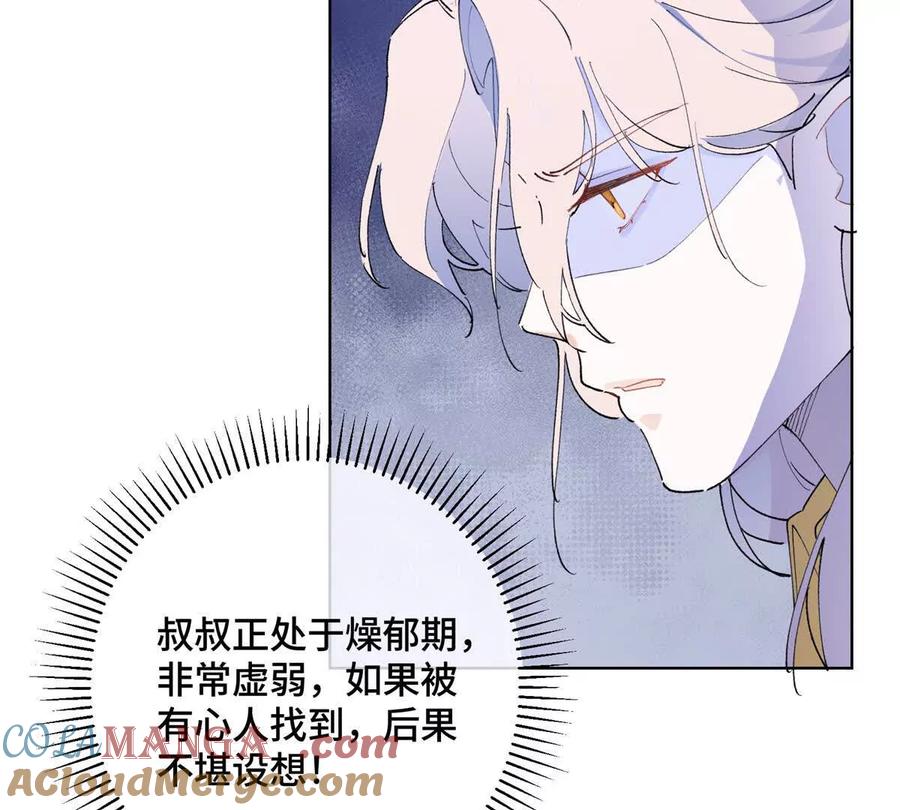 《白天被逃婚晚上被奶凶指挥官求抱》03 我只是按规矩办事 第73页