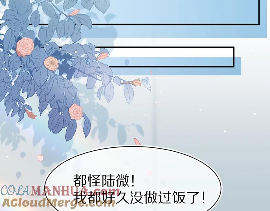 一口吃个兔 第70章 一定是陆微的阴谋 第73页