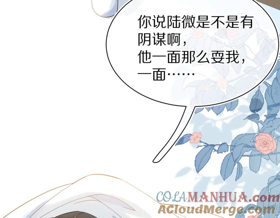 一口吃个兔 第70章 一定是陆微的阴谋 第77页