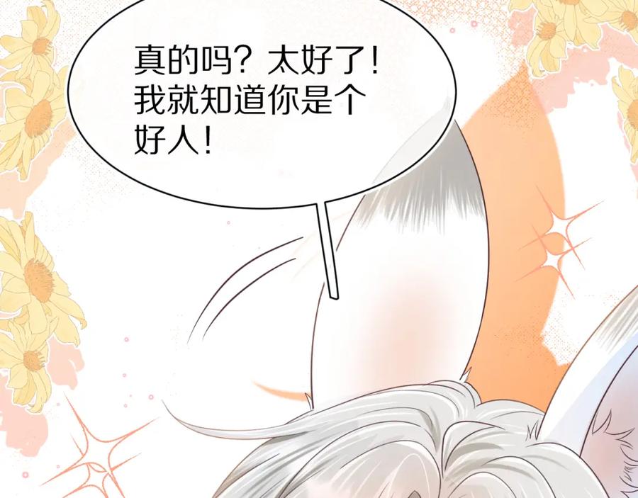 一口吃个兔 第11章 舌尖上的兔子 第90页