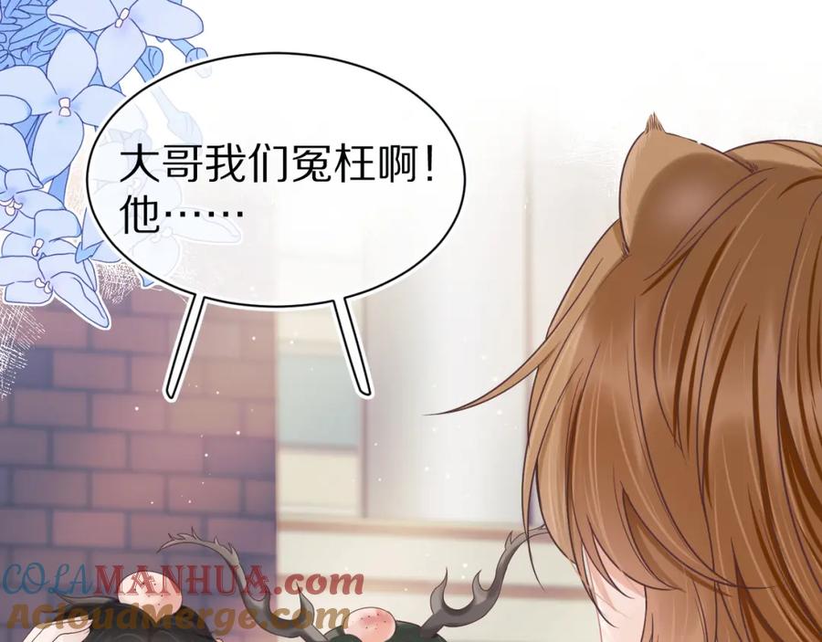 一口吃个兔 第14章 有人挑衅？ 第81页